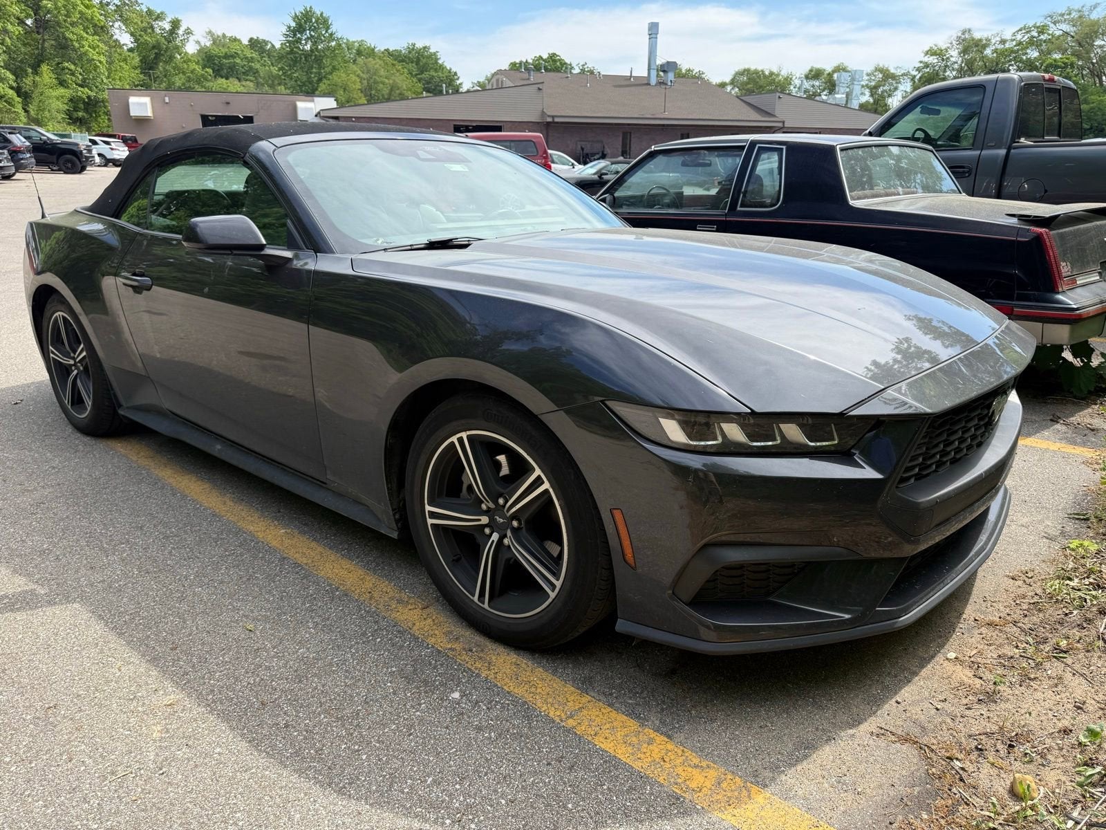 2024 Ford Mustang EcoBoost Convertible's photo